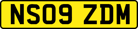 NS09ZDM
