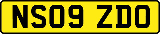 NS09ZDO