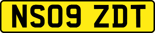 NS09ZDT