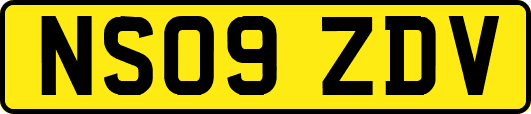 NS09ZDV
