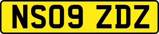 NS09ZDZ