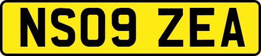 NS09ZEA