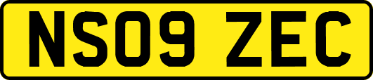NS09ZEC