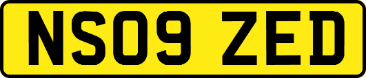 NS09ZED