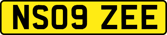 NS09ZEE