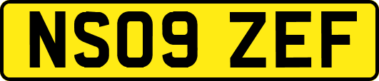 NS09ZEF