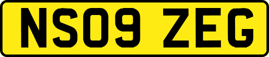 NS09ZEG