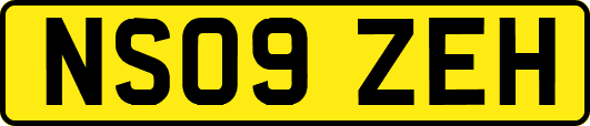 NS09ZEH