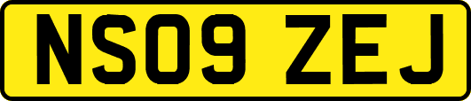 NS09ZEJ