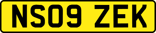 NS09ZEK