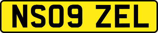 NS09ZEL