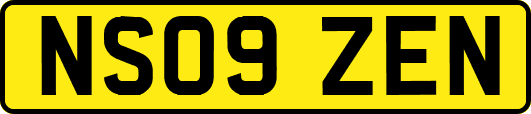NS09ZEN