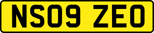 NS09ZEO