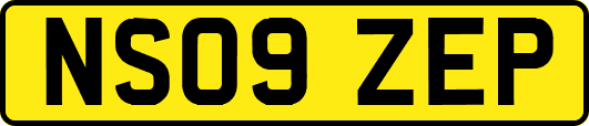 NS09ZEP