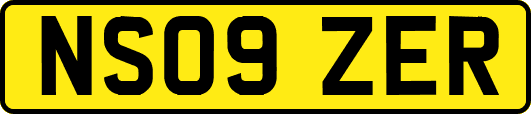 NS09ZER