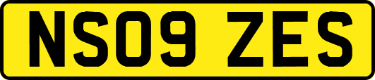 NS09ZES