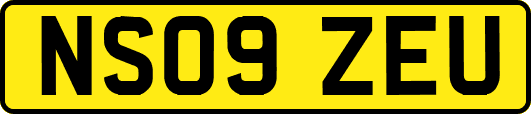 NS09ZEU