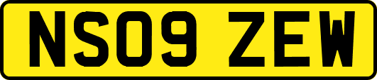 NS09ZEW