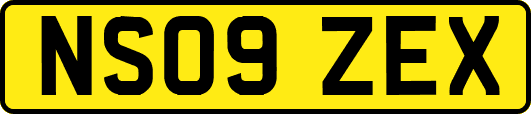 NS09ZEX