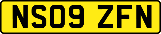 NS09ZFN