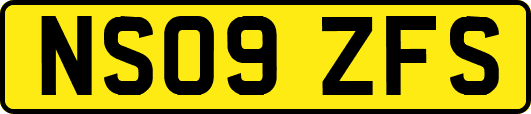 NS09ZFS