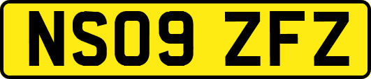NS09ZFZ