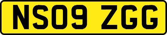 NS09ZGG