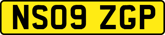 NS09ZGP