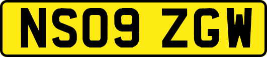 NS09ZGW
