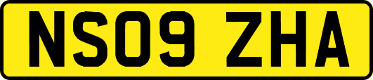 NS09ZHA