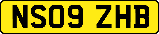 NS09ZHB