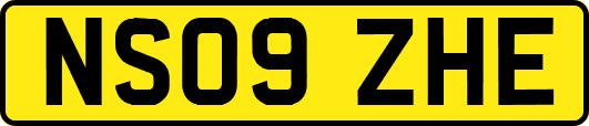 NS09ZHE