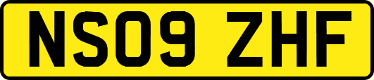 NS09ZHF