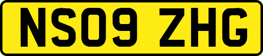 NS09ZHG