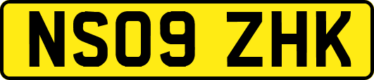 NS09ZHK