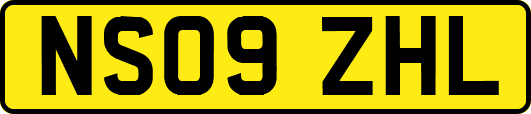 NS09ZHL