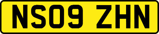 NS09ZHN