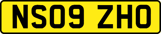 NS09ZHO