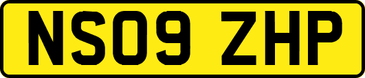NS09ZHP