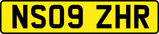 NS09ZHR