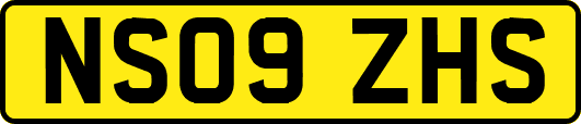 NS09ZHS