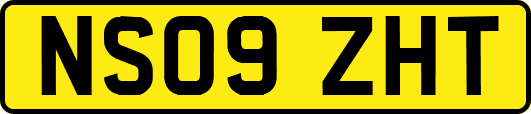NS09ZHT