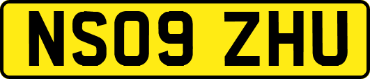 NS09ZHU