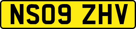 NS09ZHV