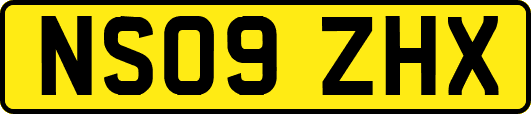 NS09ZHX