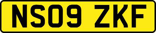 NS09ZKF