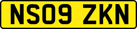 NS09ZKN