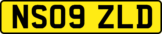 NS09ZLD