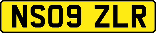 NS09ZLR