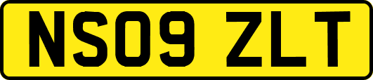 NS09ZLT